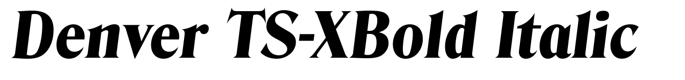 Denver TS-XBold Italic